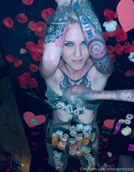 Ellabarnettvip