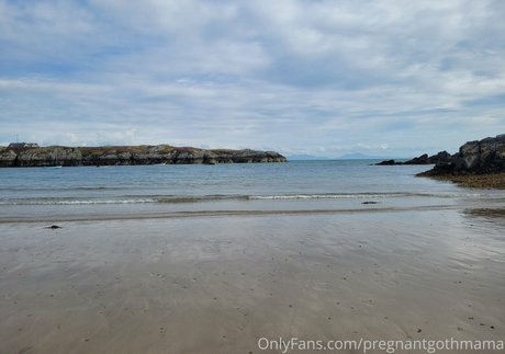 Pregnantmamamsalicefury