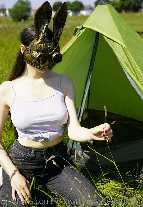 Followthemaskedbunnyfree