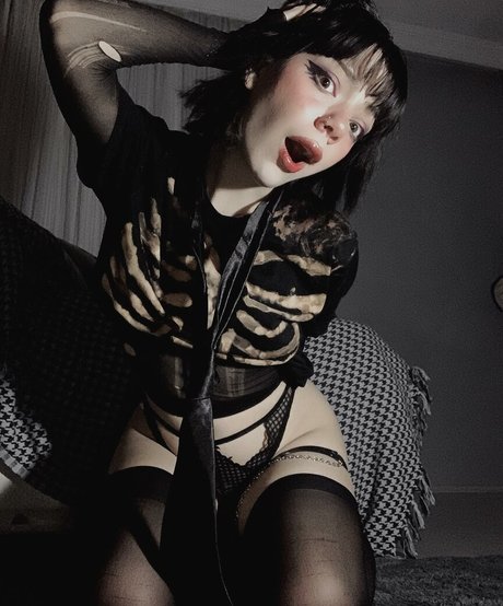 Sugarspiceandevrytinnice