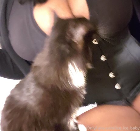Iceicebaby