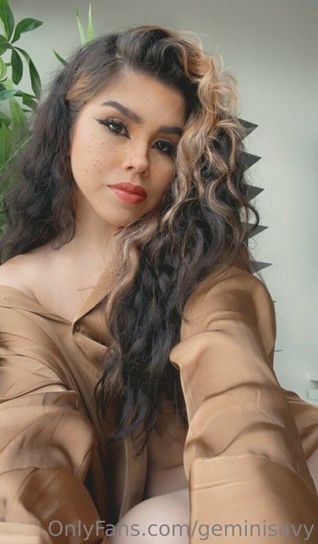 Geminisavy