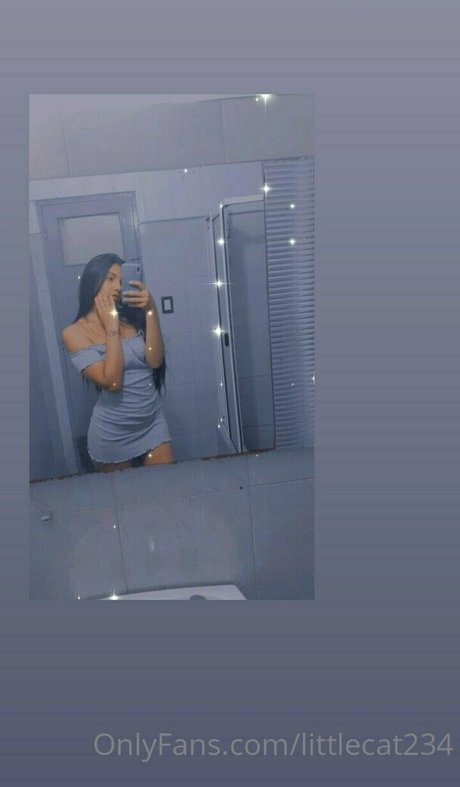 Littlecat234
