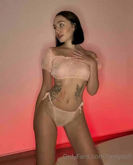 Tinnysofi
