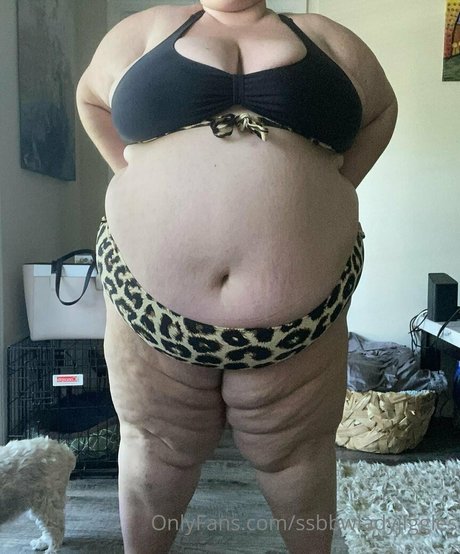 Ssbbwladyjiggles
