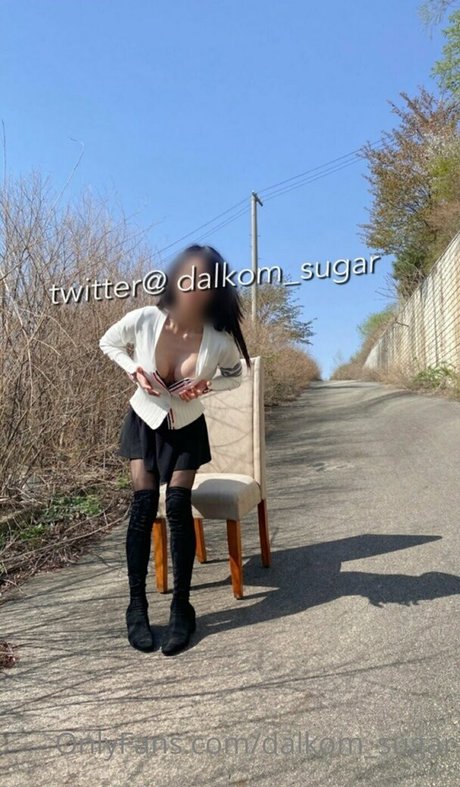 Dalkomsugar