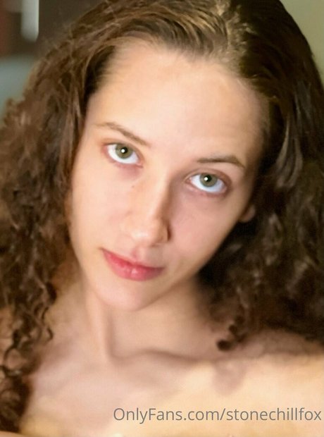 Stonechillfox