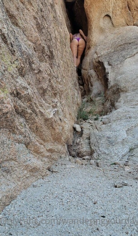 Wanderingyourdaydreams