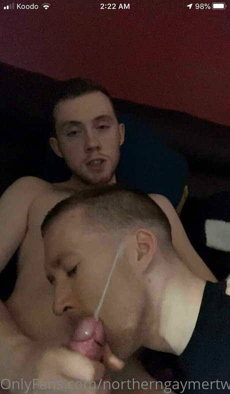 Northerngaymertwinks