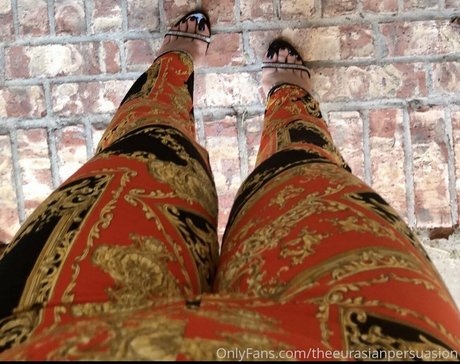 Theeurasianpersuasion