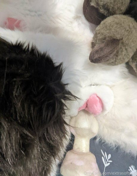 Extrasoftpup