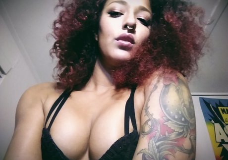 Daisyducati